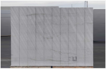 成人看片APP免费